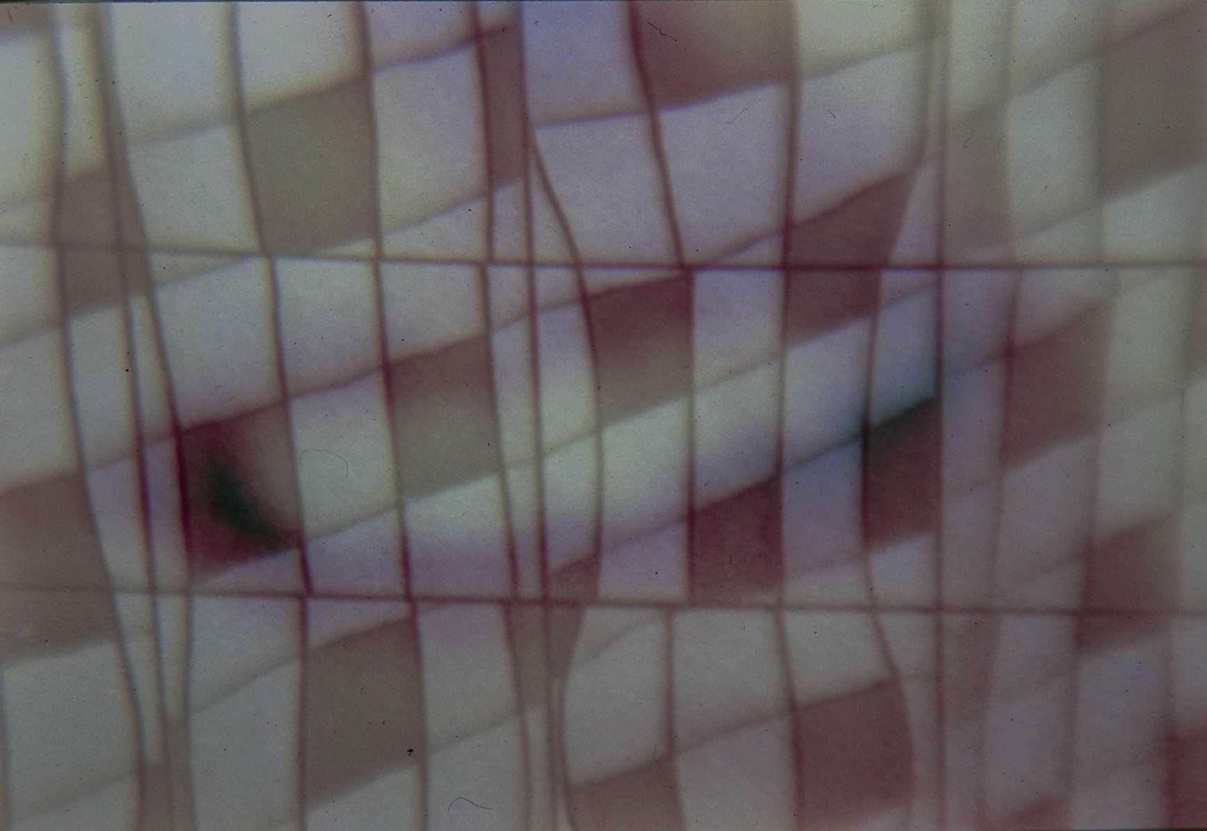 Image module