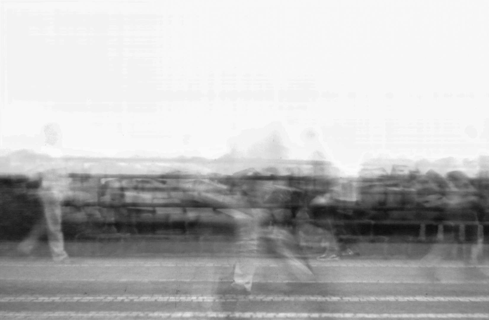 Image module