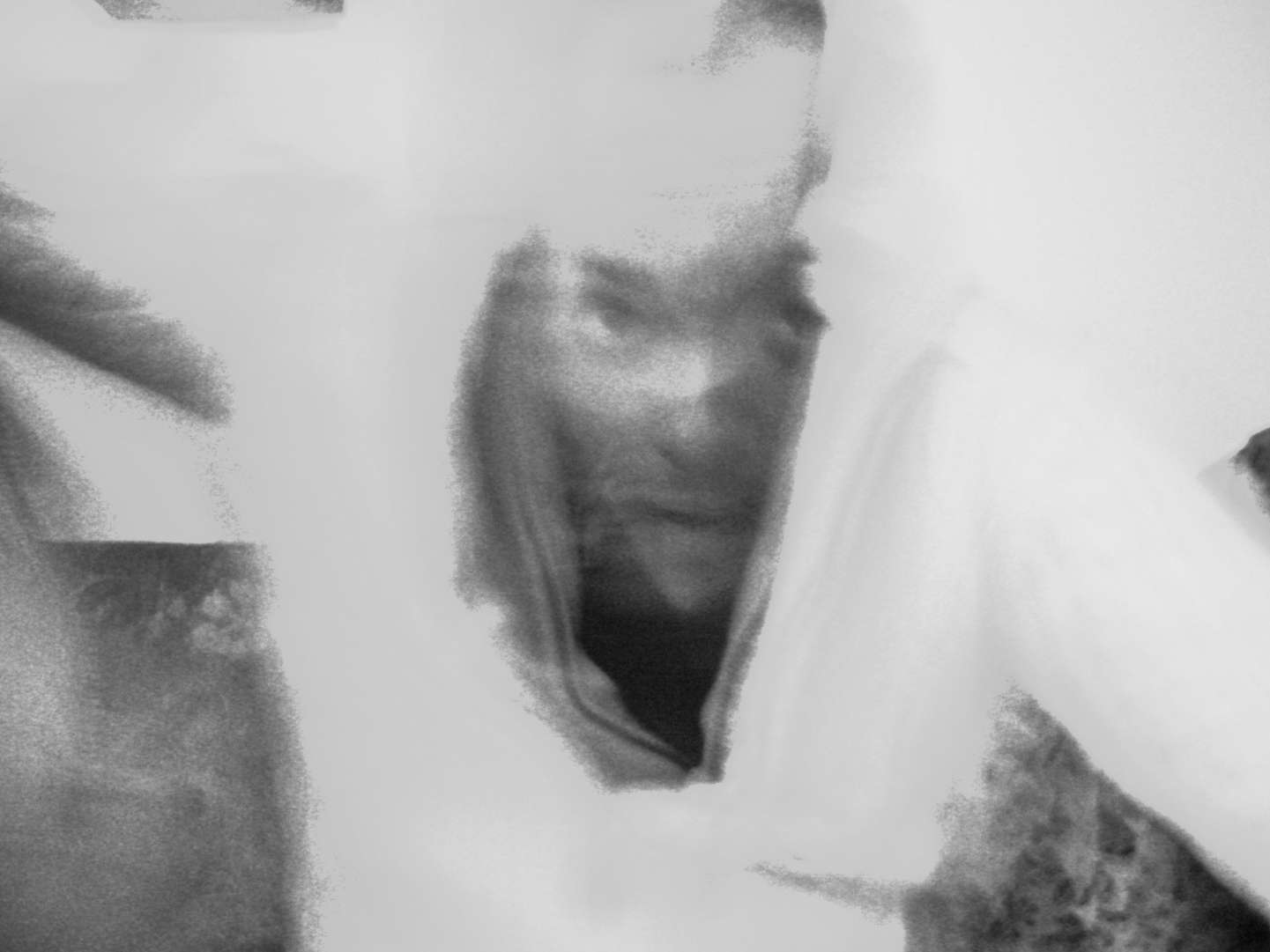 Image module