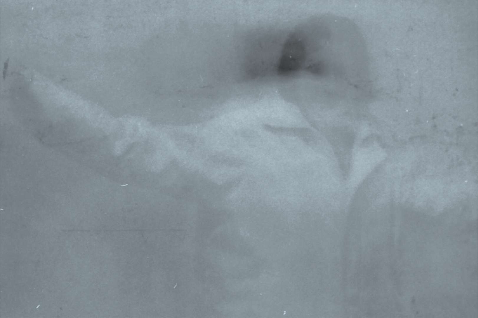 Image module